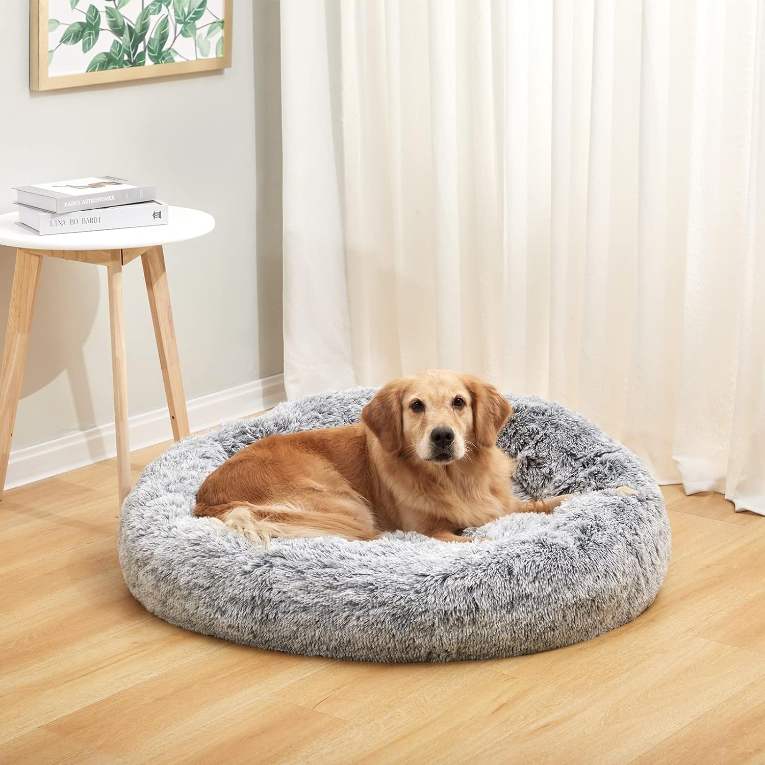 Calming Donut Dog Bed, 36 Inches round Fluffy for Large Dogs, Anti-Anxiety Plush, Machine Washable (Dark Grey, Large)